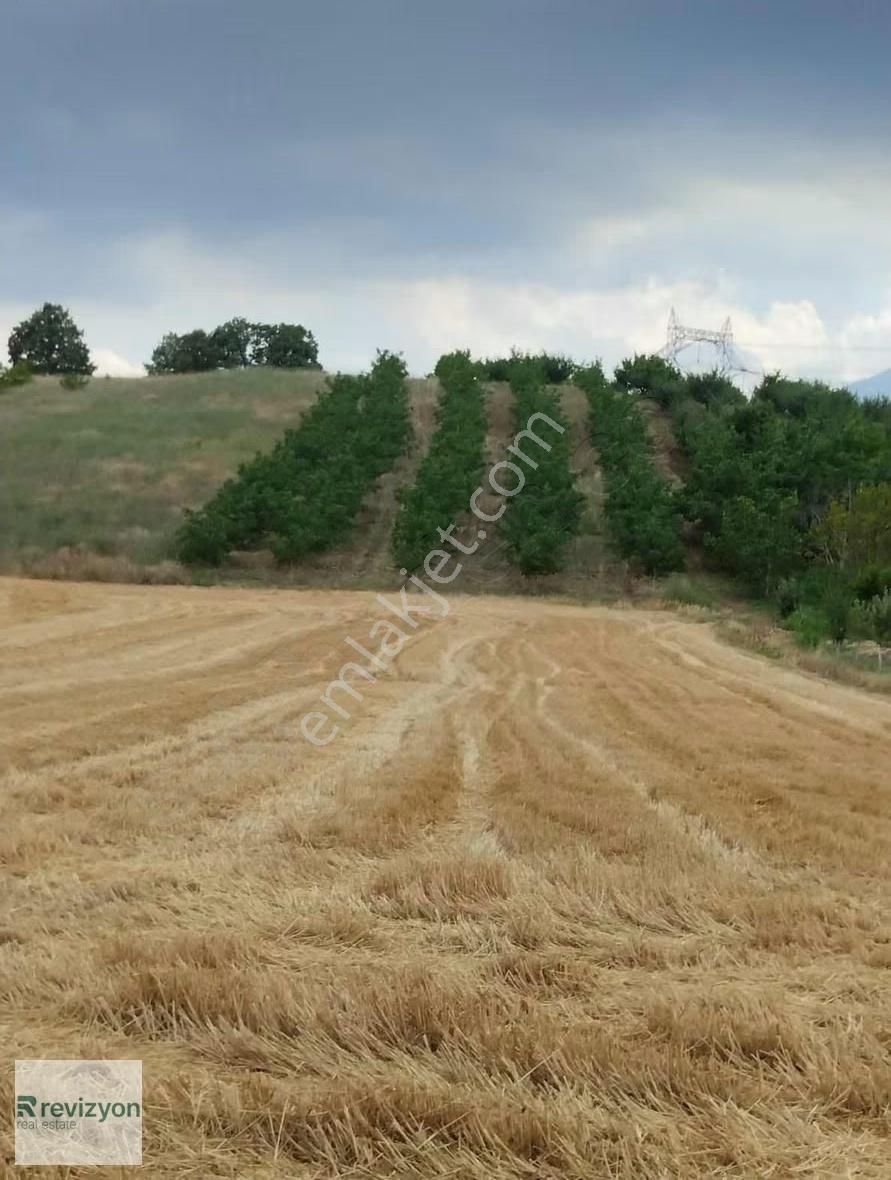İnegöl Şehitler Karaçamda 4 Dönüm Cevizlik Tarla - Görsel 3