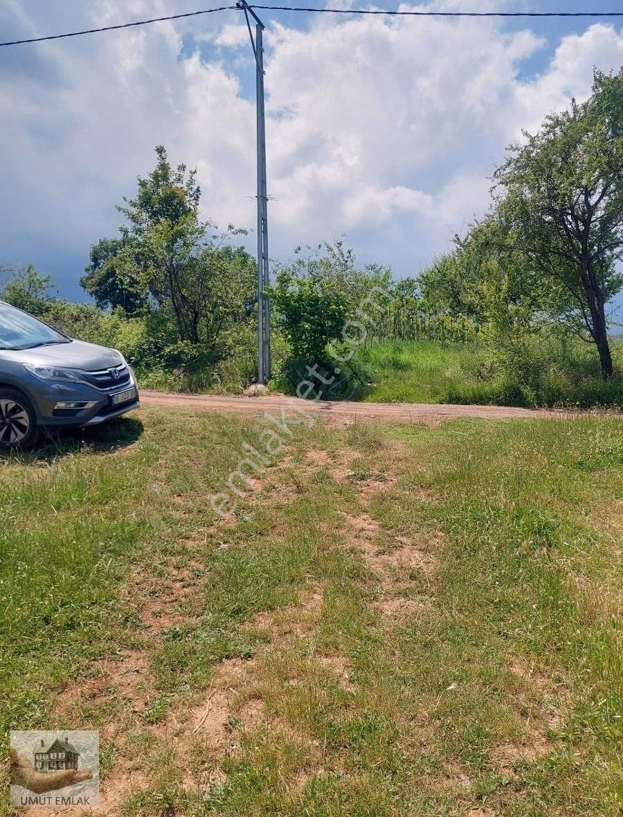 Lütfiyede Armut Bahçesi - Görsel 15