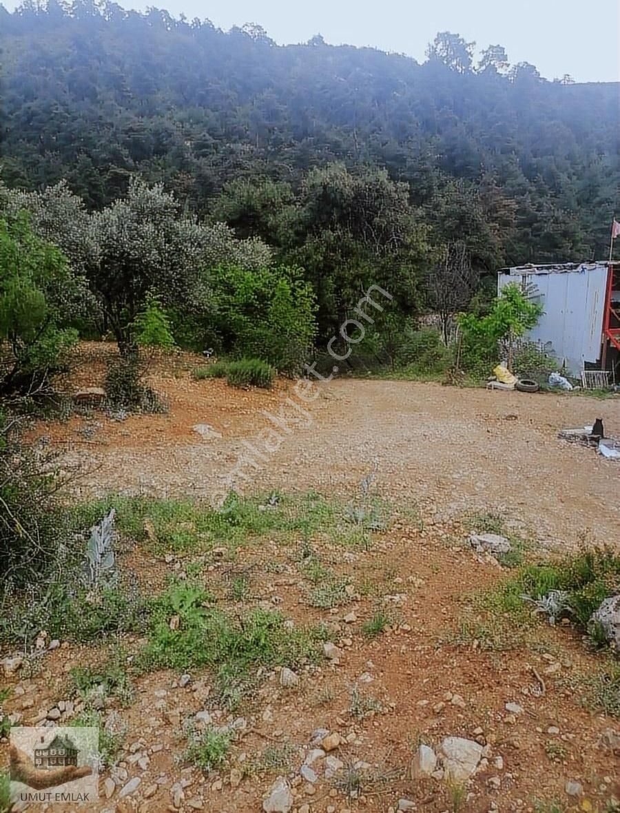 Dudaklıda Zeytın Bahcesı Tek Tapu - Görsel 4