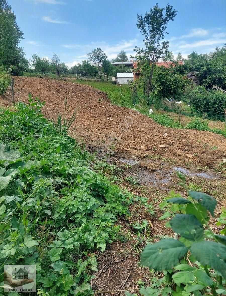 Lütfiyede İmarın Dibinde - Görsel 5