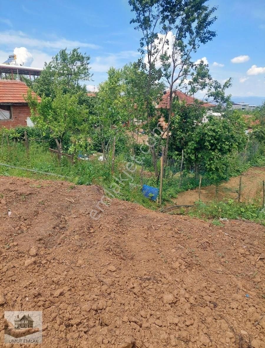 Lütfiyede İmarın Dibinde - Görsel 6