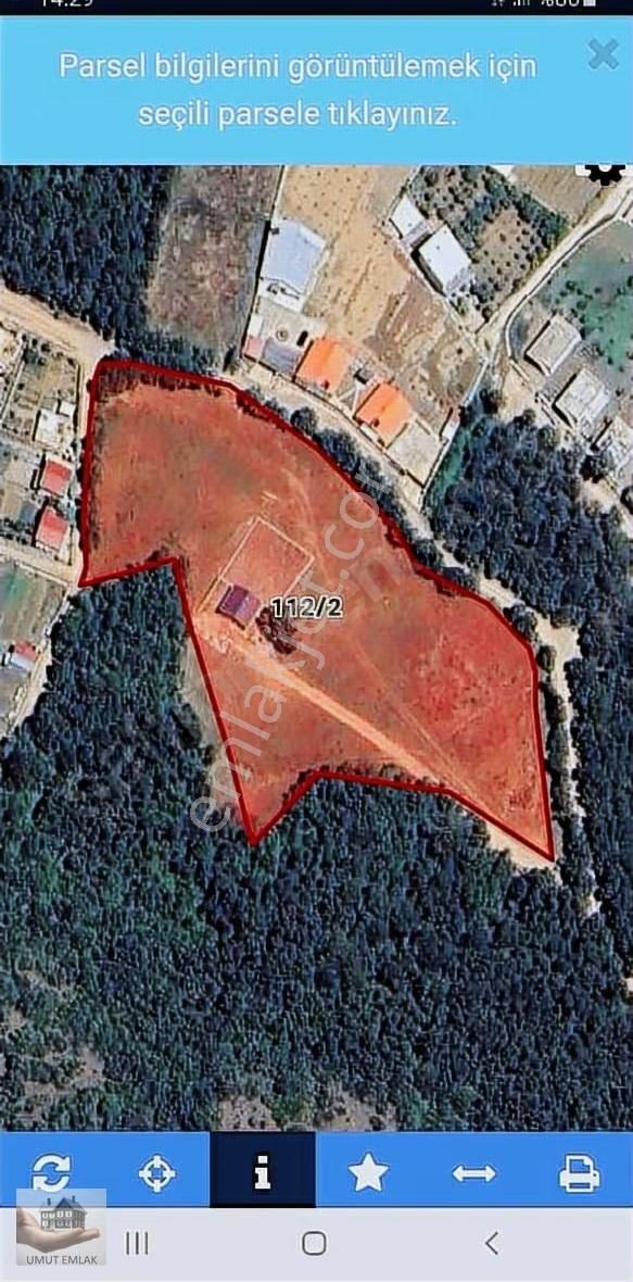 Kestel Burhaniyede Satılık Hobi Bahçesi - Görsel 2