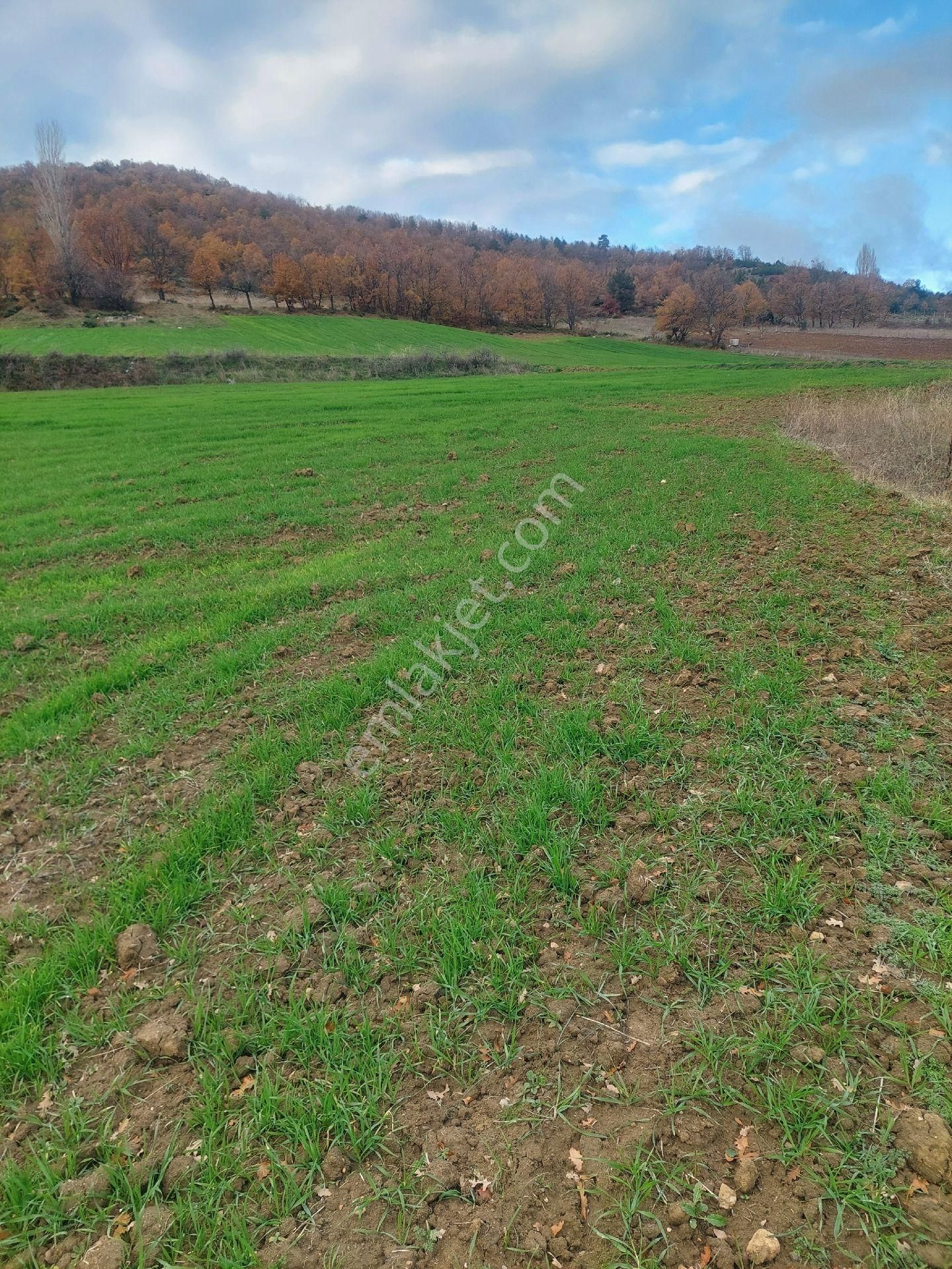 Satılık. Kestel Ağlaşan Köyünde 6600 M2. Tarla. - Görsel 4