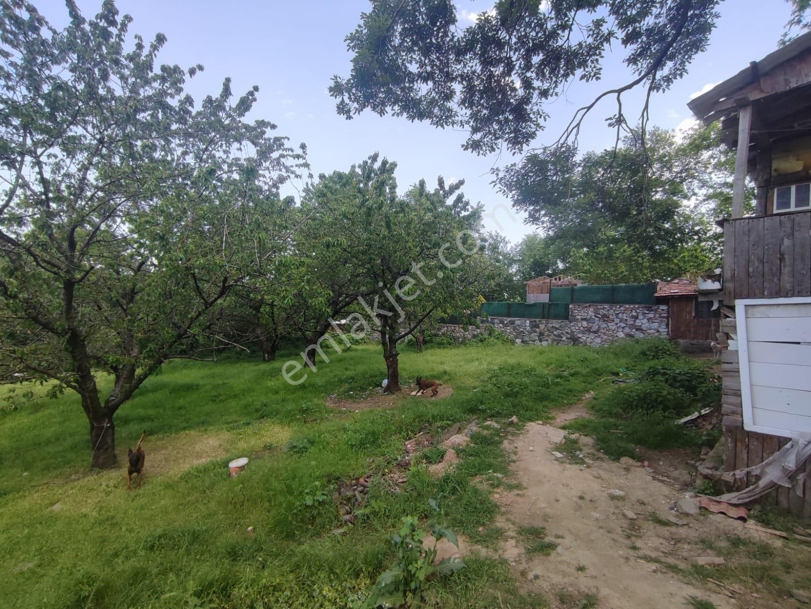 Bursa Yıldırım Cumalıkızık Da Cadde Üzeri Satılık Bahçe - Görsel 14