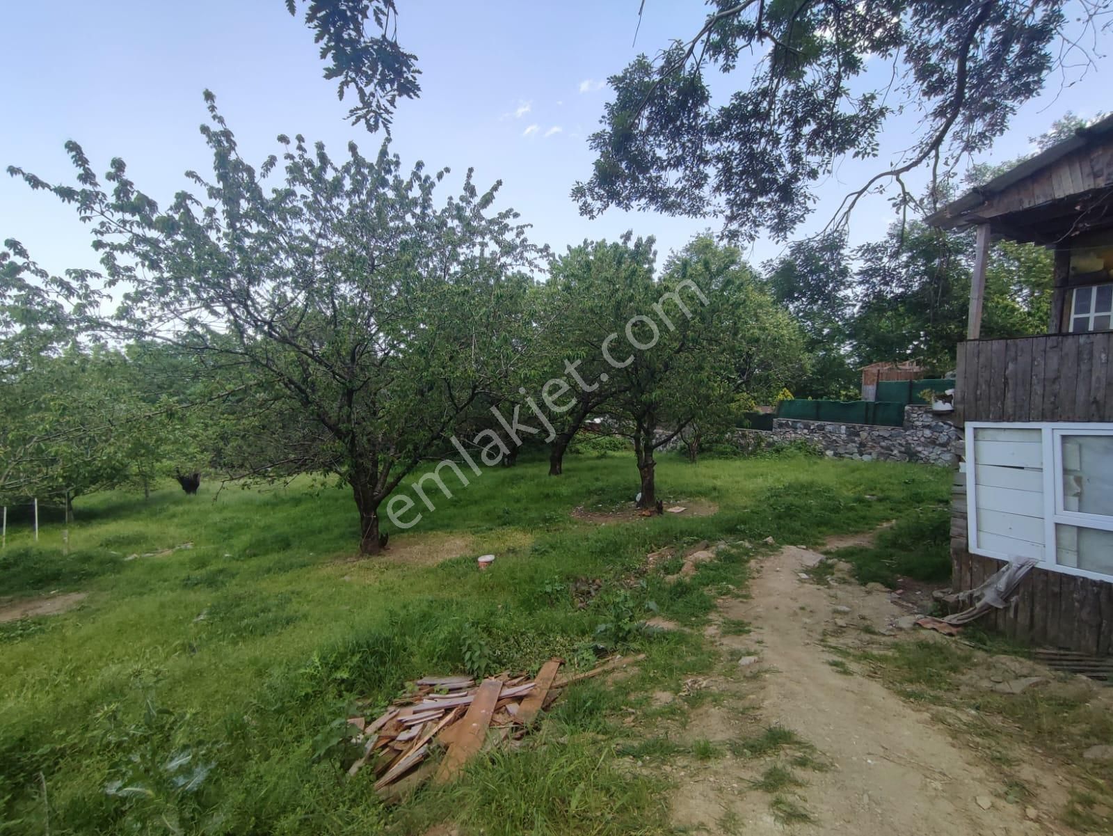 Bursa Yıldırım Cumalıkızık Da Cadde Üzeri Satılık Bahçe - Görsel 16