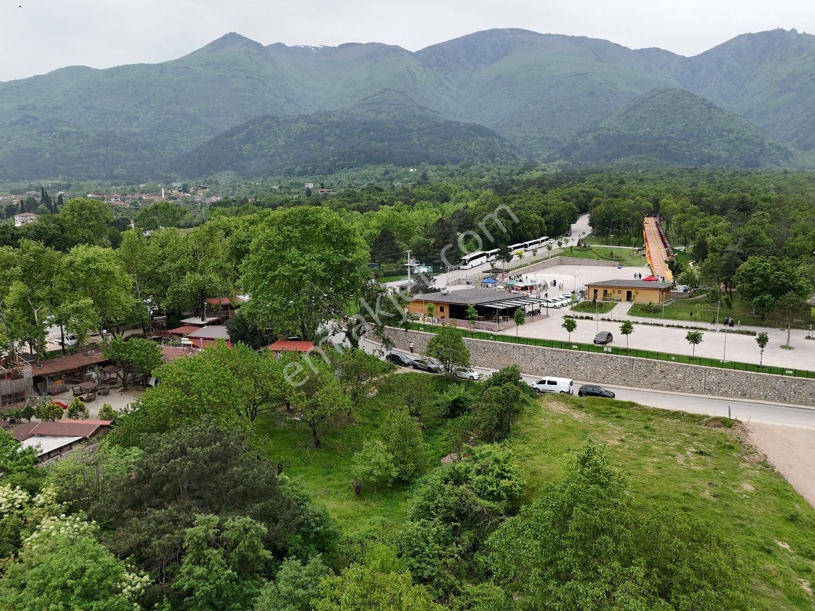 Bursa Yıldırım Cumalıkızık Da Cadde Üzeri Satılık Bahçe - Görsel 19