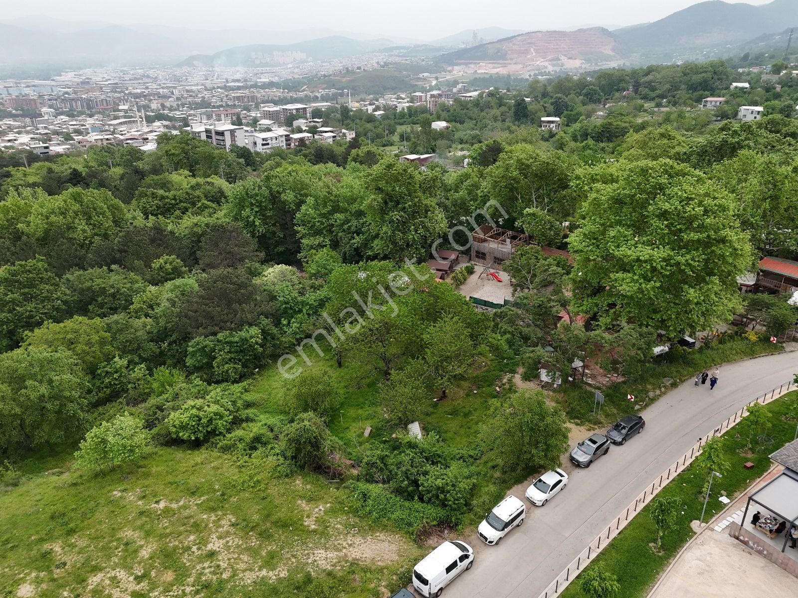 Bursa Yıldırım Cumalıkızık Da Cadde Üzeri Satılık Bahçe - Görsel 21