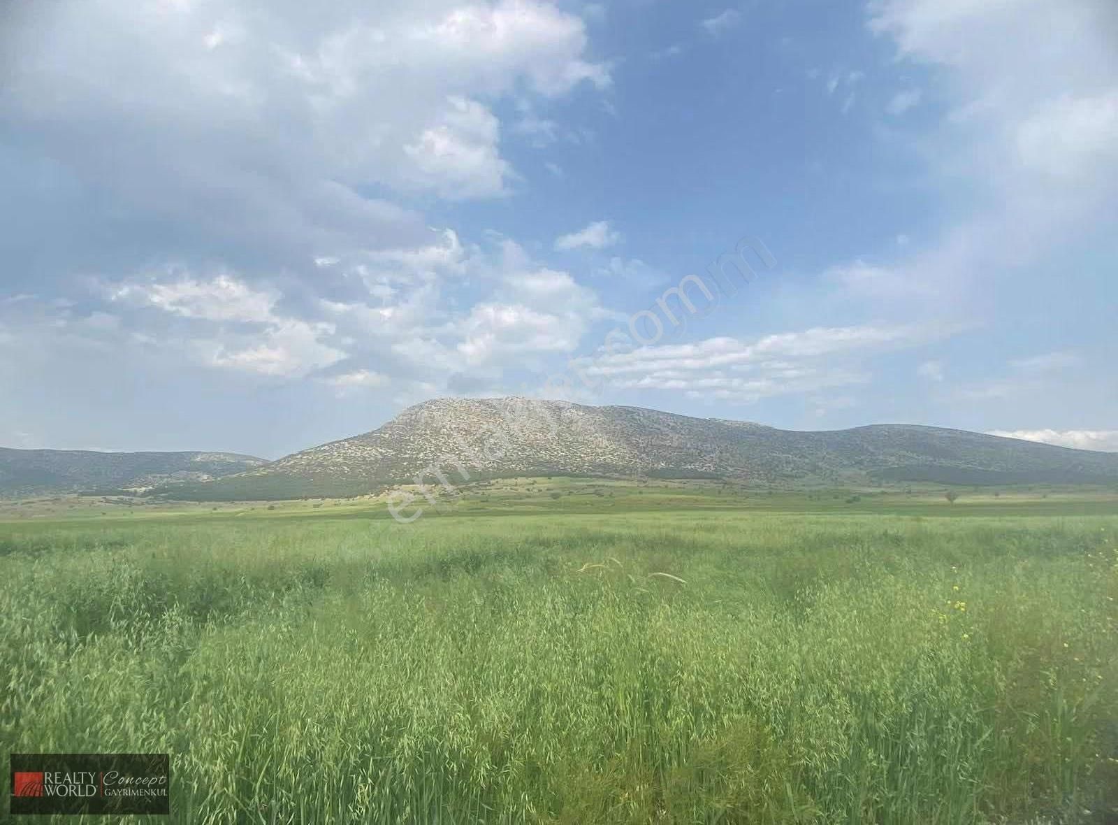 Korkuteli Aşağıbozova'da Kaçırılmayacak Tarla Fırsatı - Görsel 4