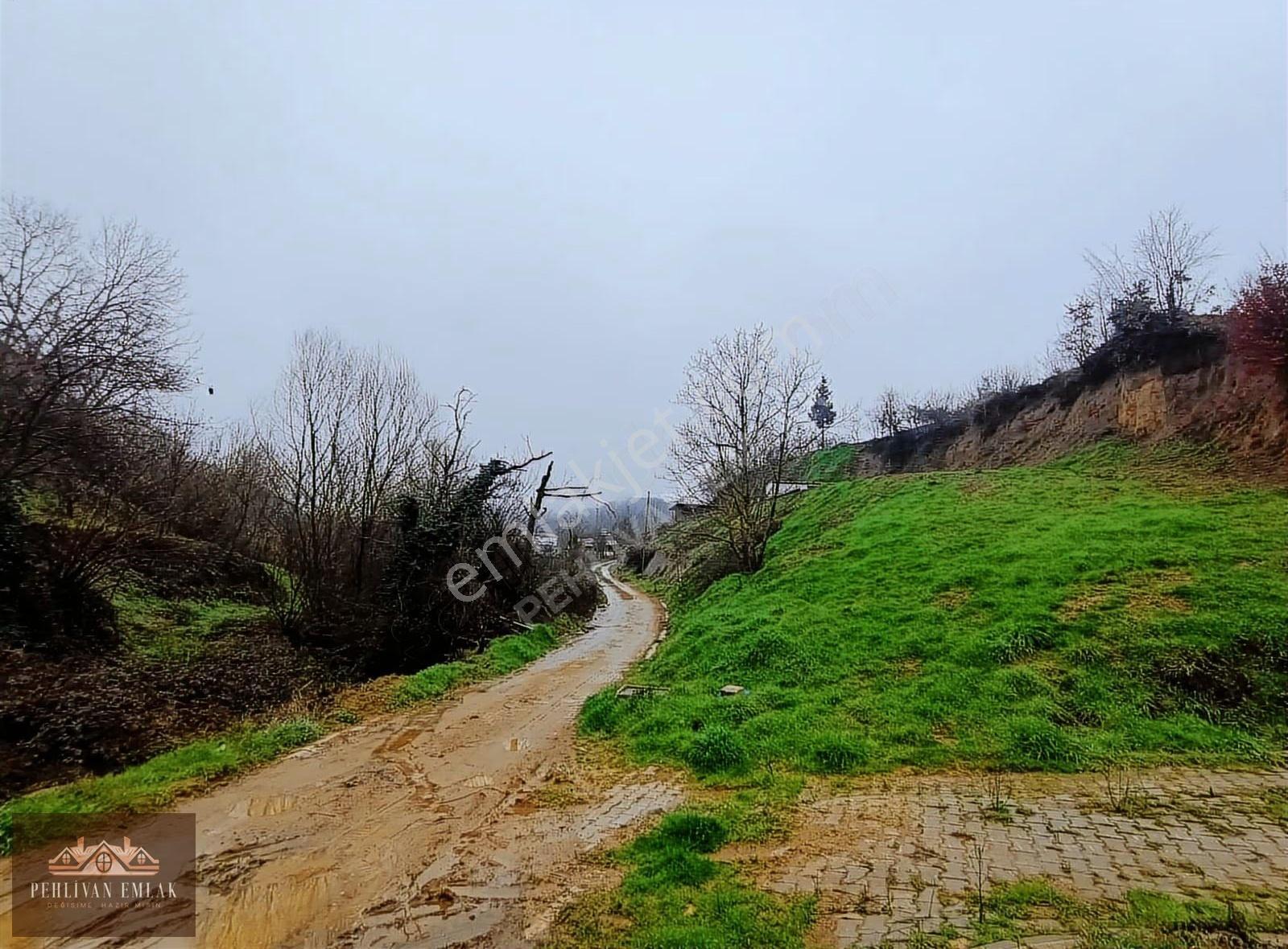 Yalova Altınova Örencik'te 505m2 İmarlı Arsa Acill - Görsel 7