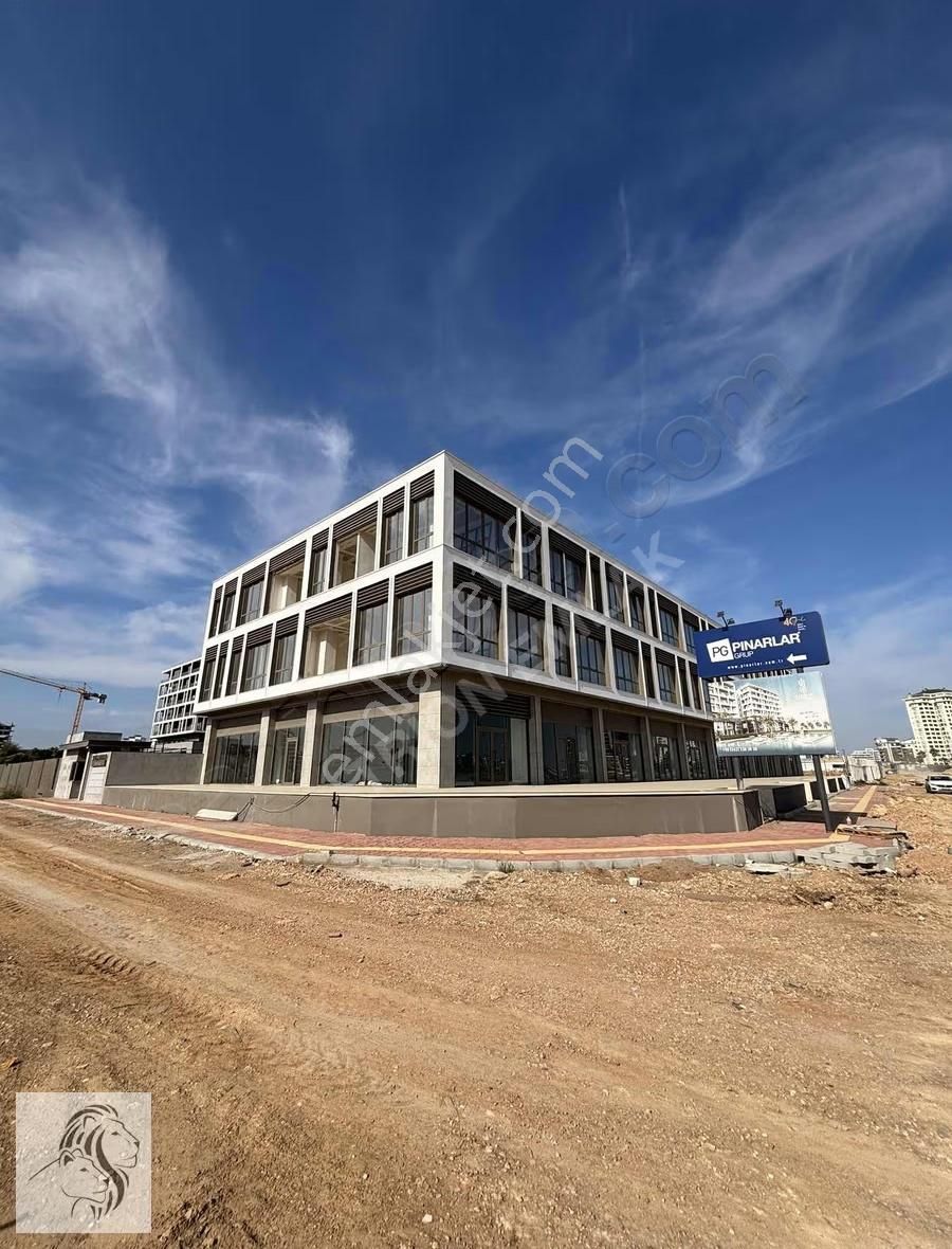 Trion Emlak - 40'lık Yola Cephe Kiralık Ofisler - Görsel 2