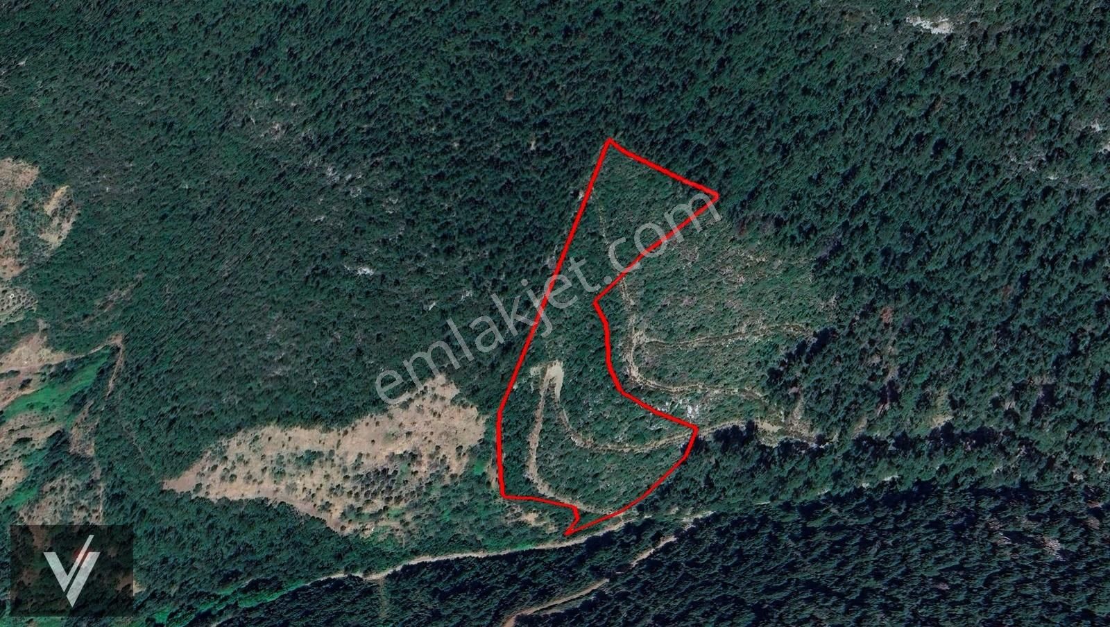Gazipaşa Gürçam'da Doğa İçinde 24 Dönüm Tek Tapu Dev Arazi - Görsel 7