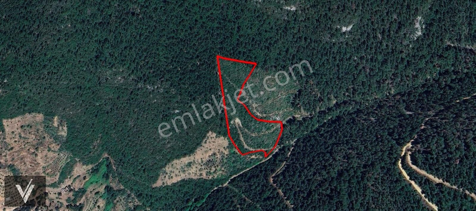 Gazipaşa Gürçam'da Doğa İçinde 24 Dönüm Tek Tapu Dev Arazi - Görsel 9