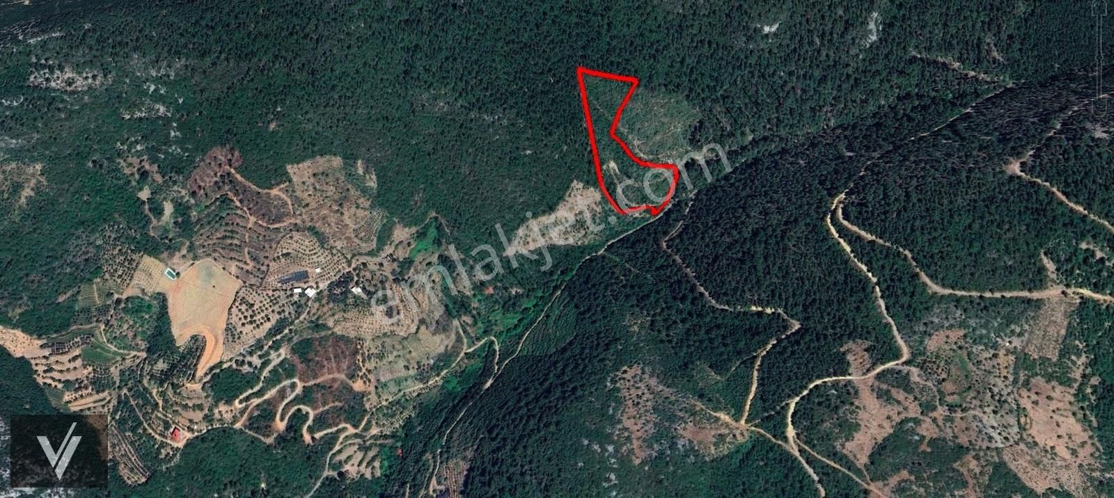 Gazipaşa Gürçam'da Doğa İçinde 24 Dönüm Tek Tapu Dev Arazi