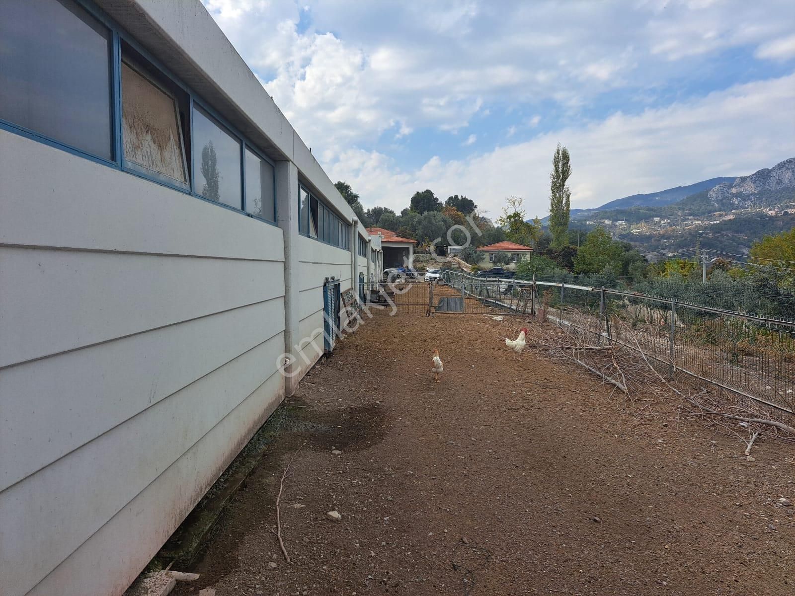 14.000 M² Tarla Ve Üzerinde 1.000m² Kapalı Alanlı Ağıl - Görsel 17