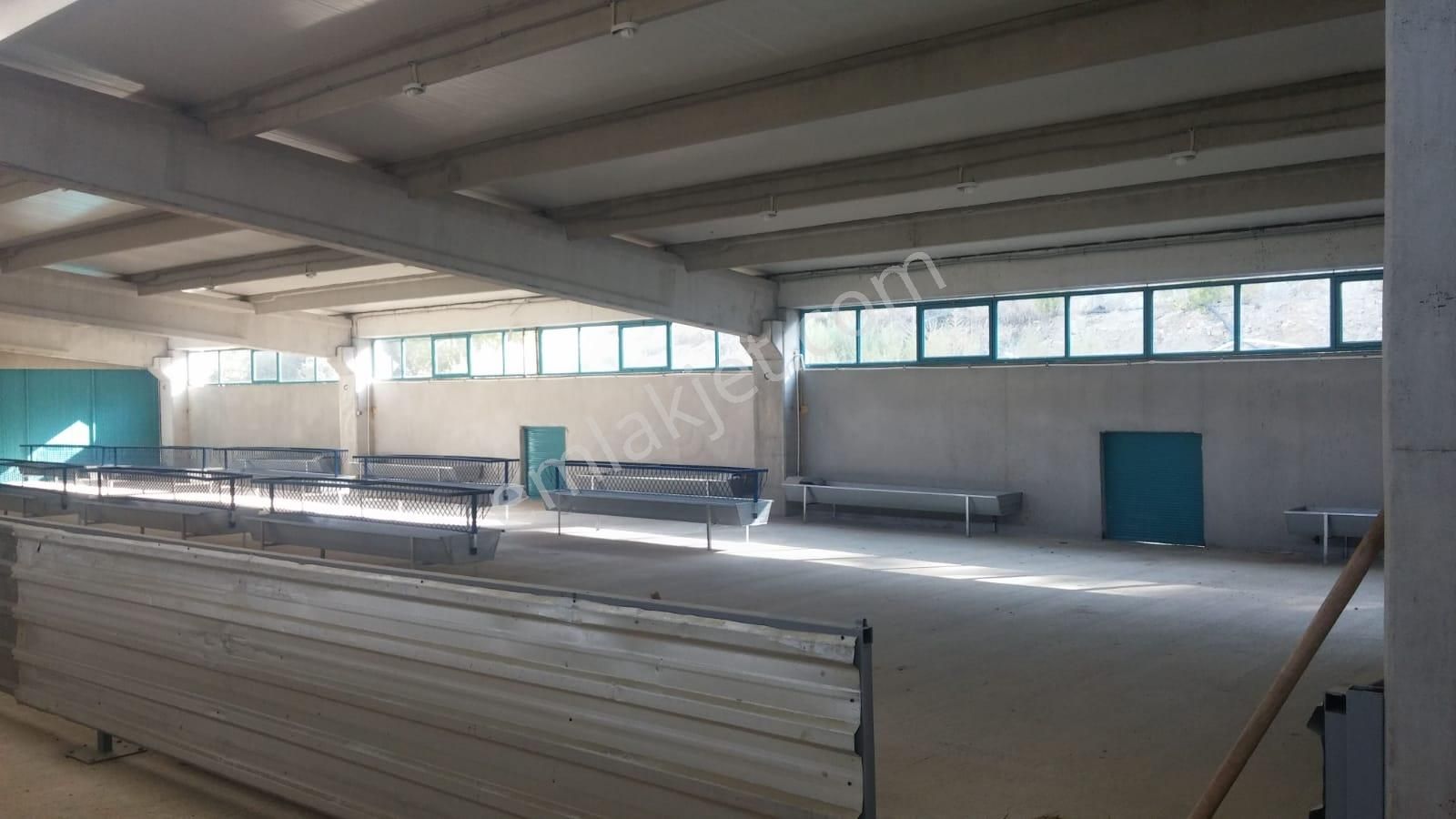 14.000 M² Tarla Ve Üzerinde 1.000m² Kapalı Alanlı Ağıl - Görsel 2