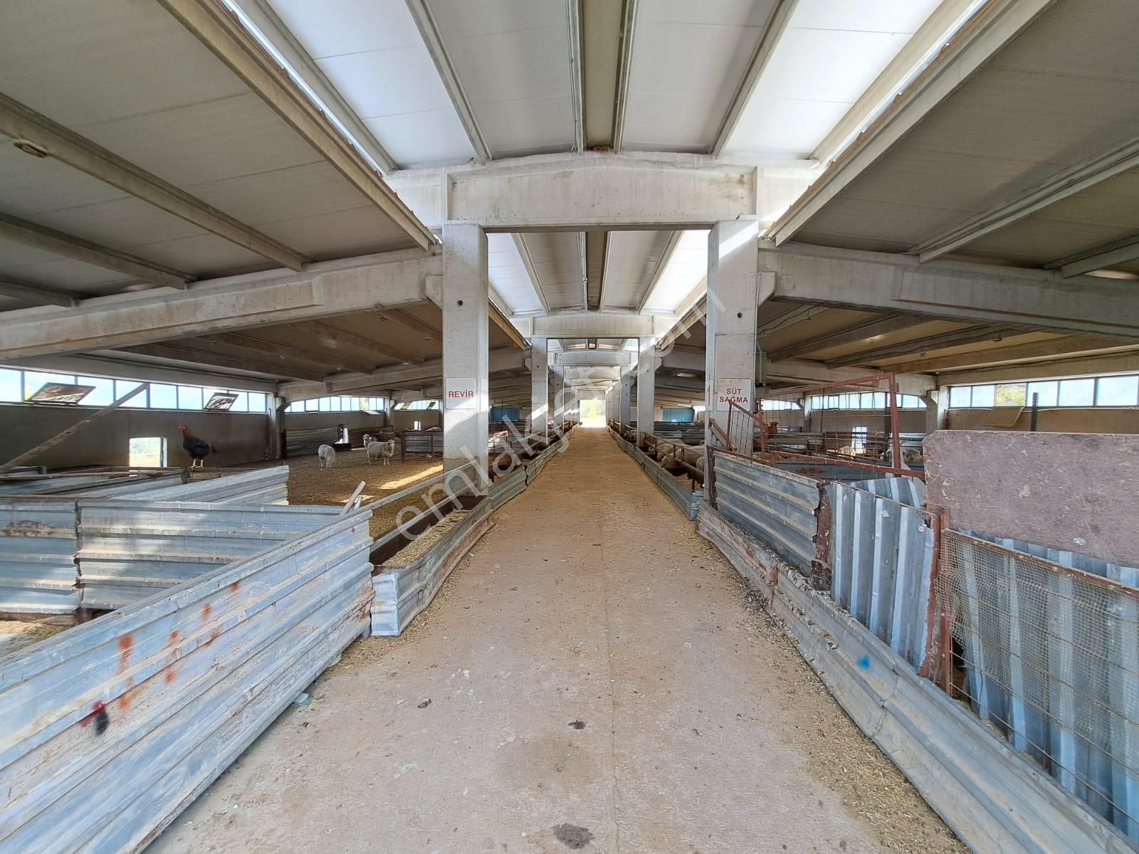 14.000 M² Tarla Ve Üzerinde 1.000m² Kapalı Alanlı Ağıl