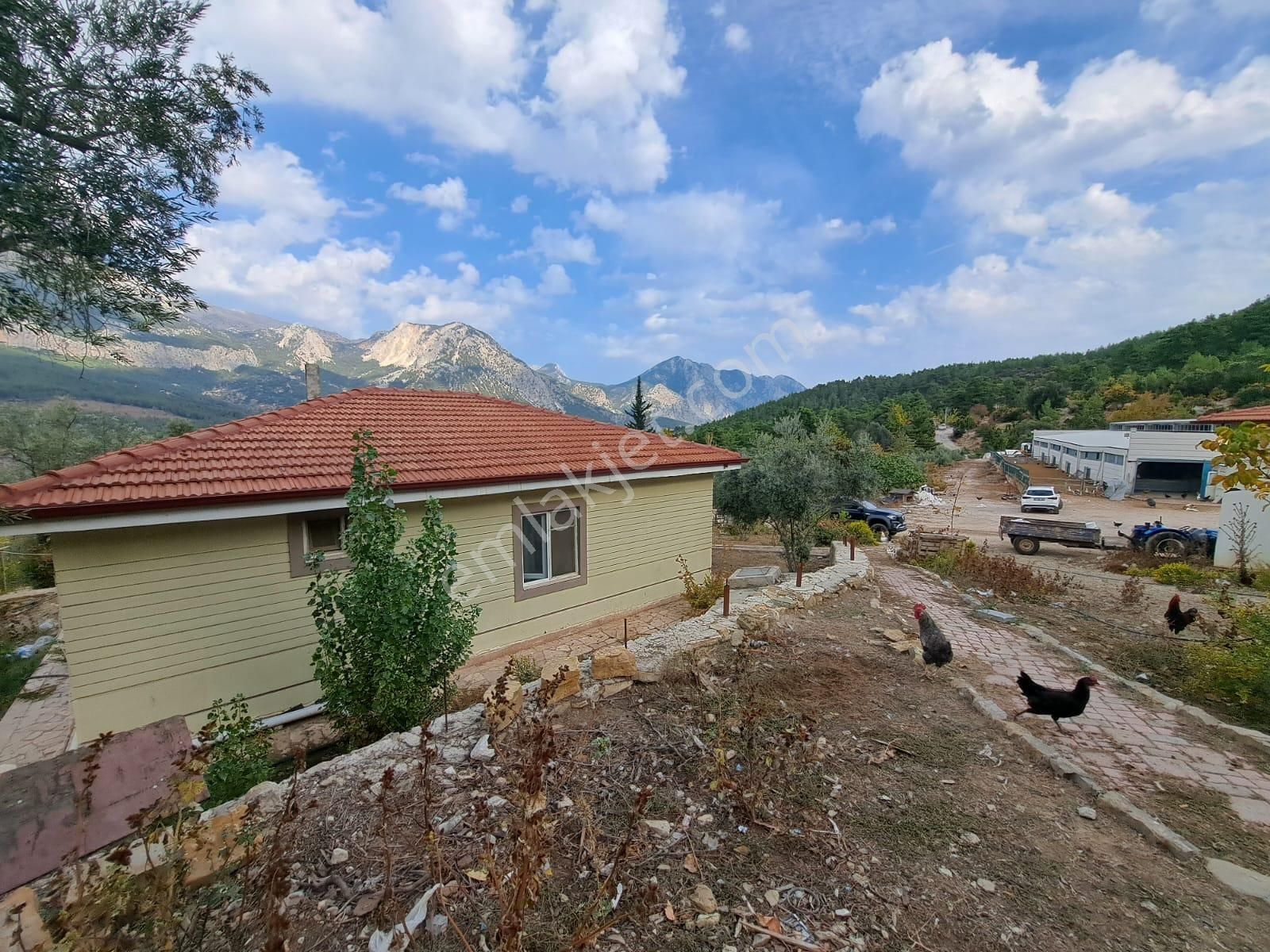 14.000 M² Tarla Ve Üzerinde 1.000m² Kapalı Alanlı Ağıl - Görsel 21