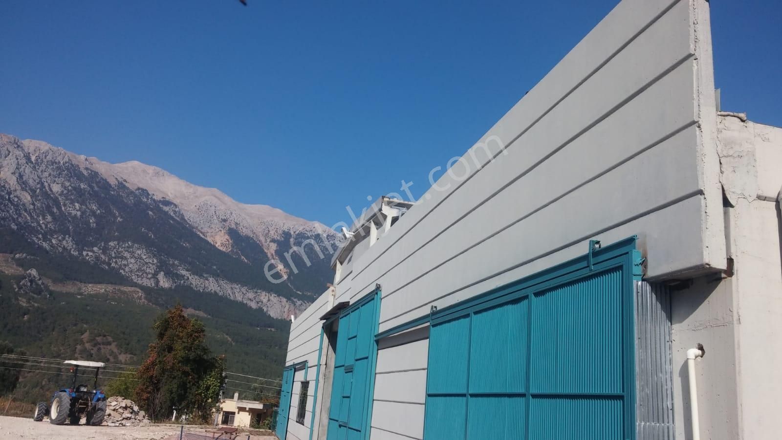 14.000 M² Tarla Ve Üzerinde 1.000m² Kapalı Alanlı Ağıl - Görsel 12