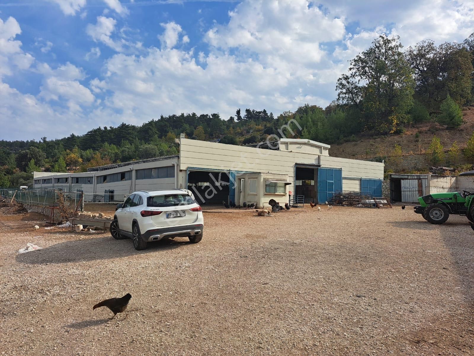 14.000 M² Tarla Ve Üzerinde 1.000m² Kapalı Alanlı Ağıl - Görsel 15