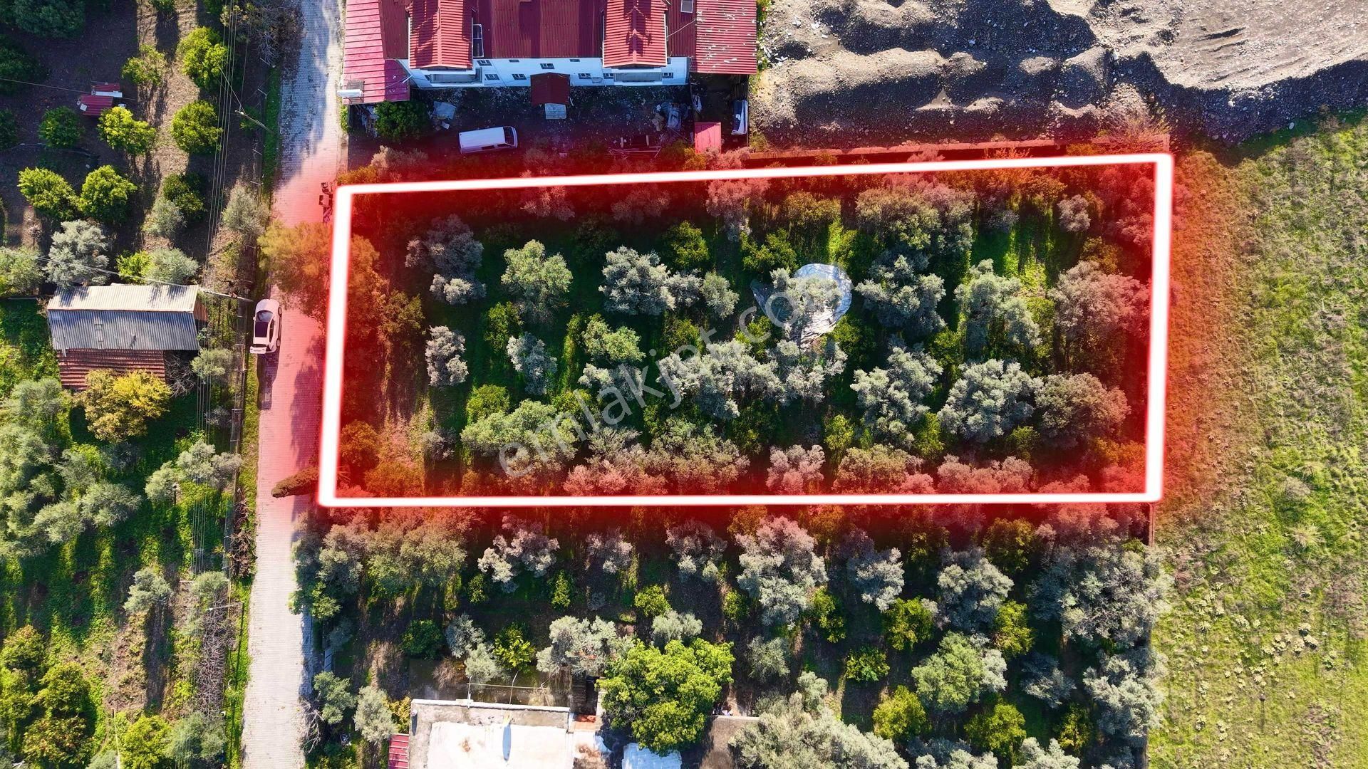 Tuana Emlak'tan Toparlarda %10 İmarlı 2048 M² Arsa - Görsel 3