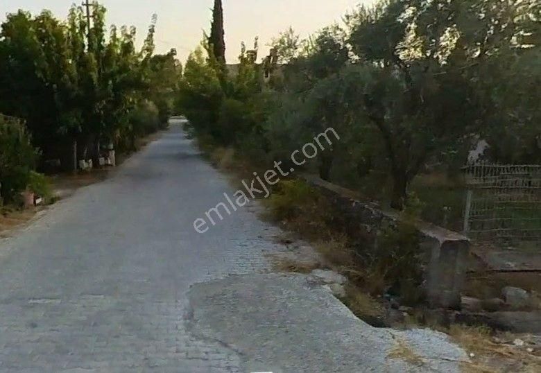 Tuana Emlak'tan Toparlarda %10 İmarlı 2048 M² Arsa - Görsel 14