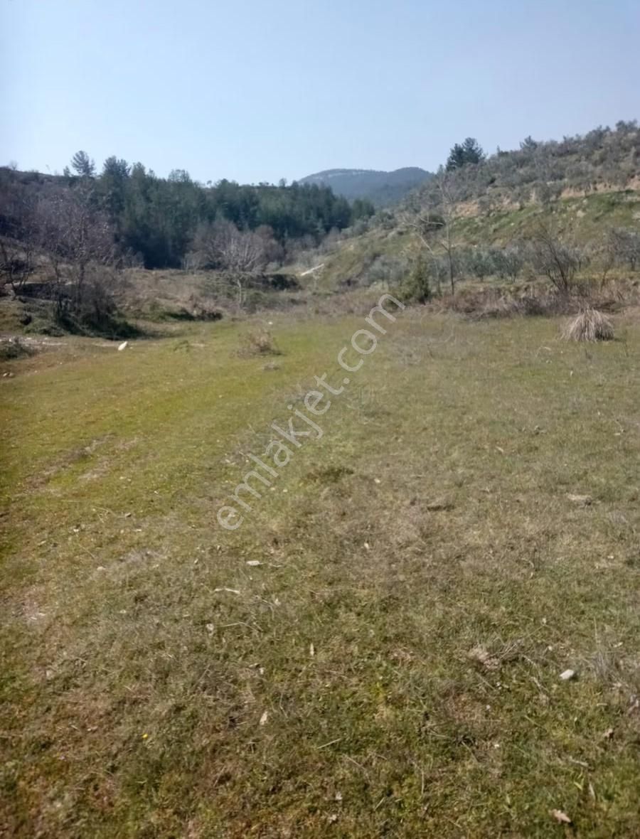 Muğla Menteşe Esençay'da Satılık Tarla - Görsel 5