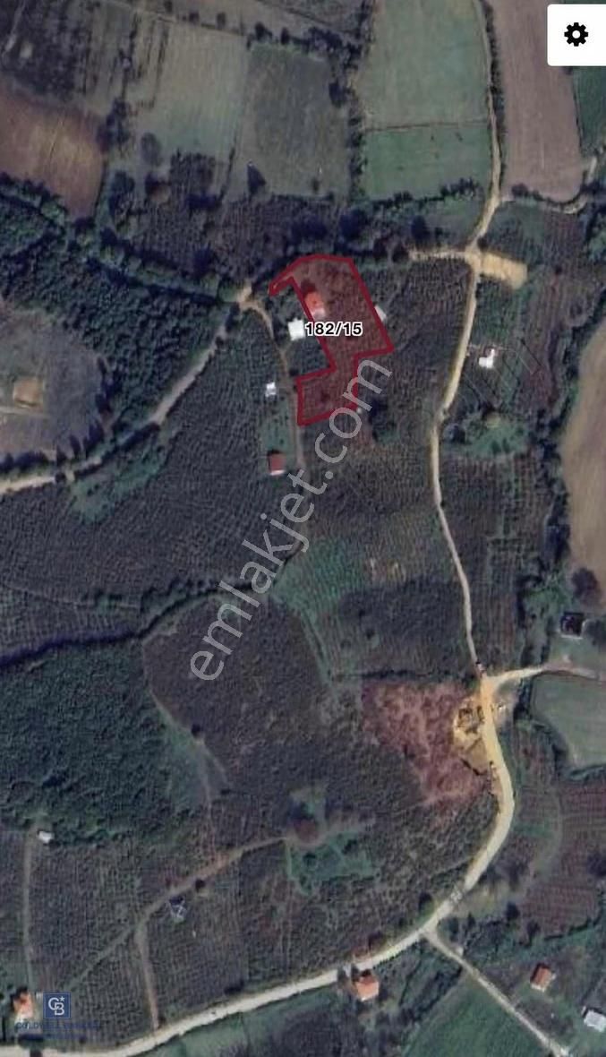 Kandıra Karaağaç Satılık