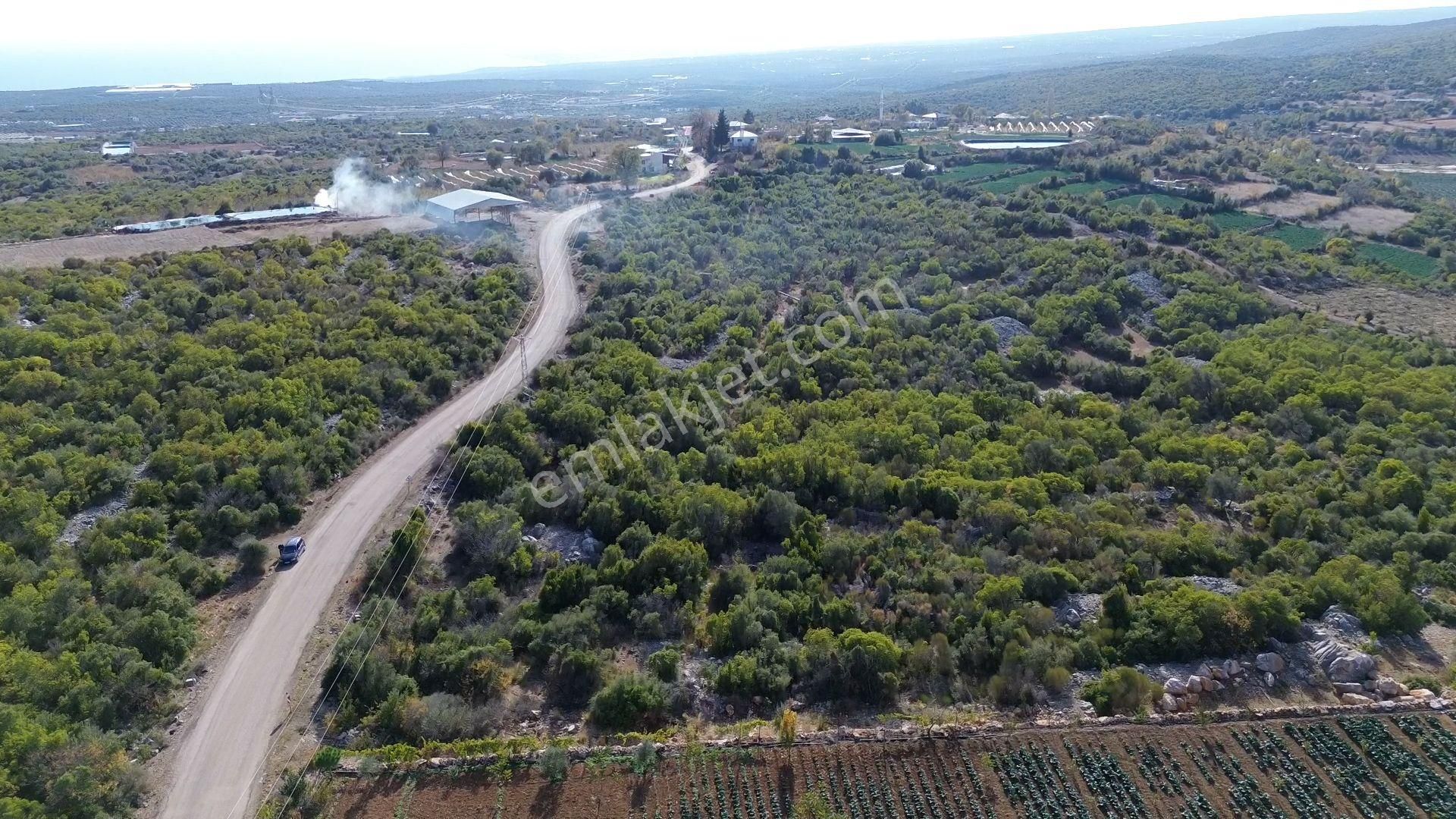 🌿 Satılık 9.500 M² Denize Yakın Doğa İle İç İçe Yatırımlık Arazi - Görsel 5
