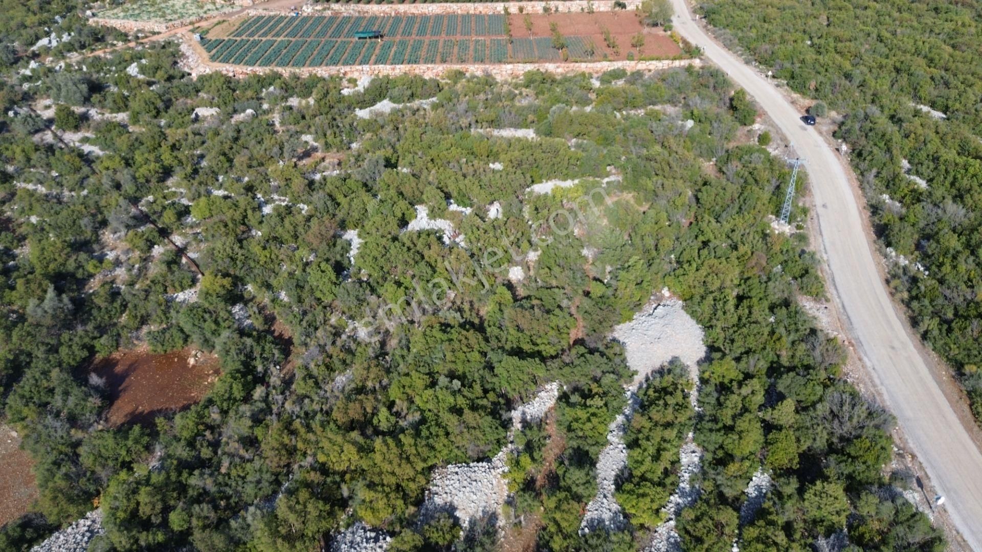 🌿 Satılık 9.500 M² Denize Yakın Doğa İle İç İçe Yatırımlık Arazi - Görsel 9
