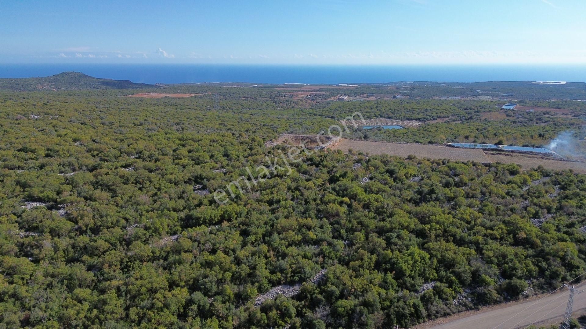 🌿 Satılık 9.500 M² Denize Yakın Doğa İle İç İçe Yatırımlık Arazi - Görsel 10