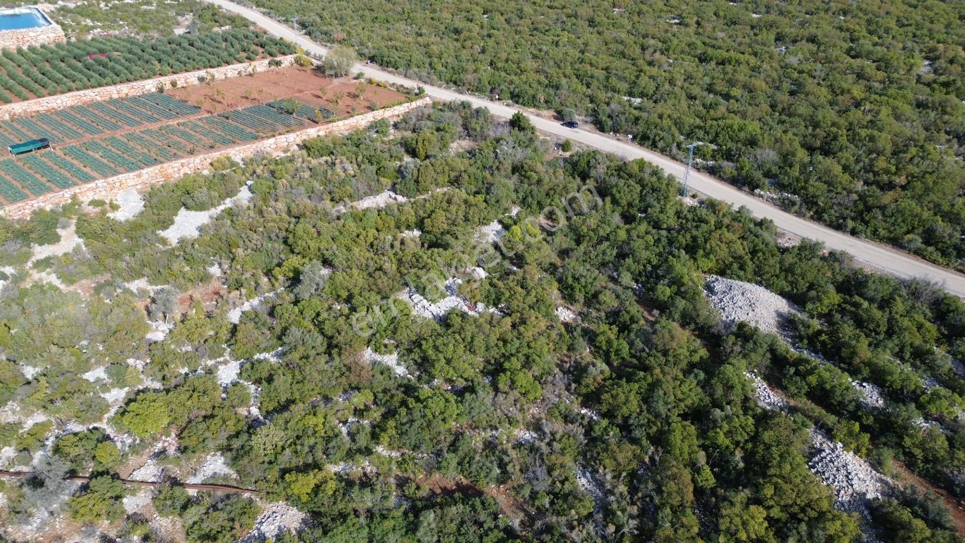 🌿 Satılık 9.500 M² Denize Yakın Doğa İle İç İçe Yatırımlık Arazi - Görsel 13