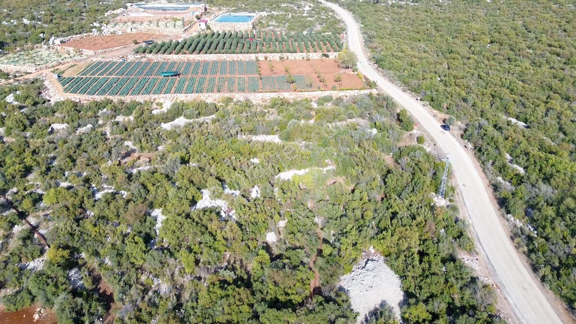 🌿 Satılık 9.500 M² Denize Yakın Doğa İle İç İçe Yatırımlık Arazi - Görsel 4