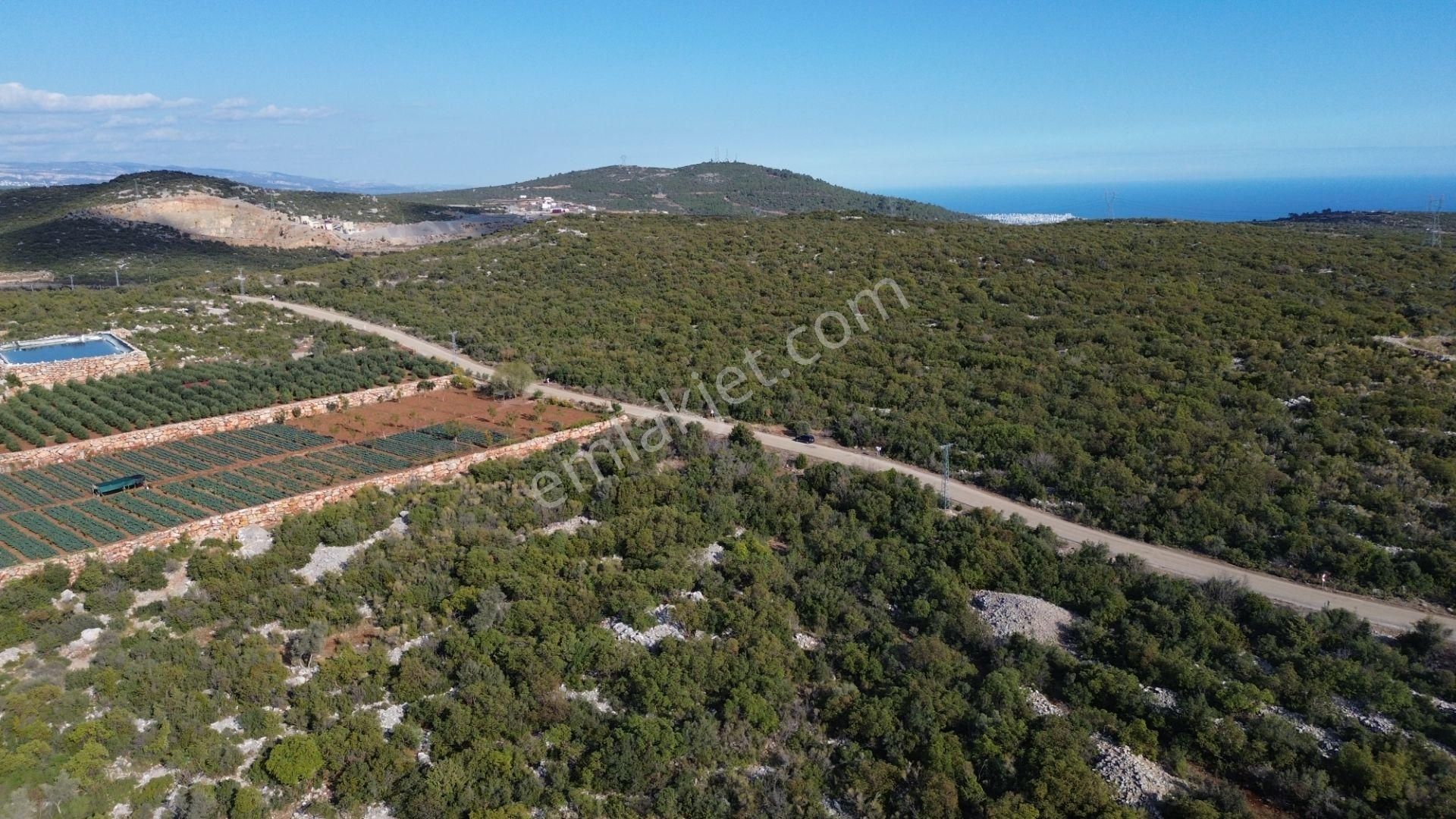 🌿 Satılık 9.500 M² Denize Yakın Doğa İle İç İçe Yatırımlık Arazi - Görsel 12