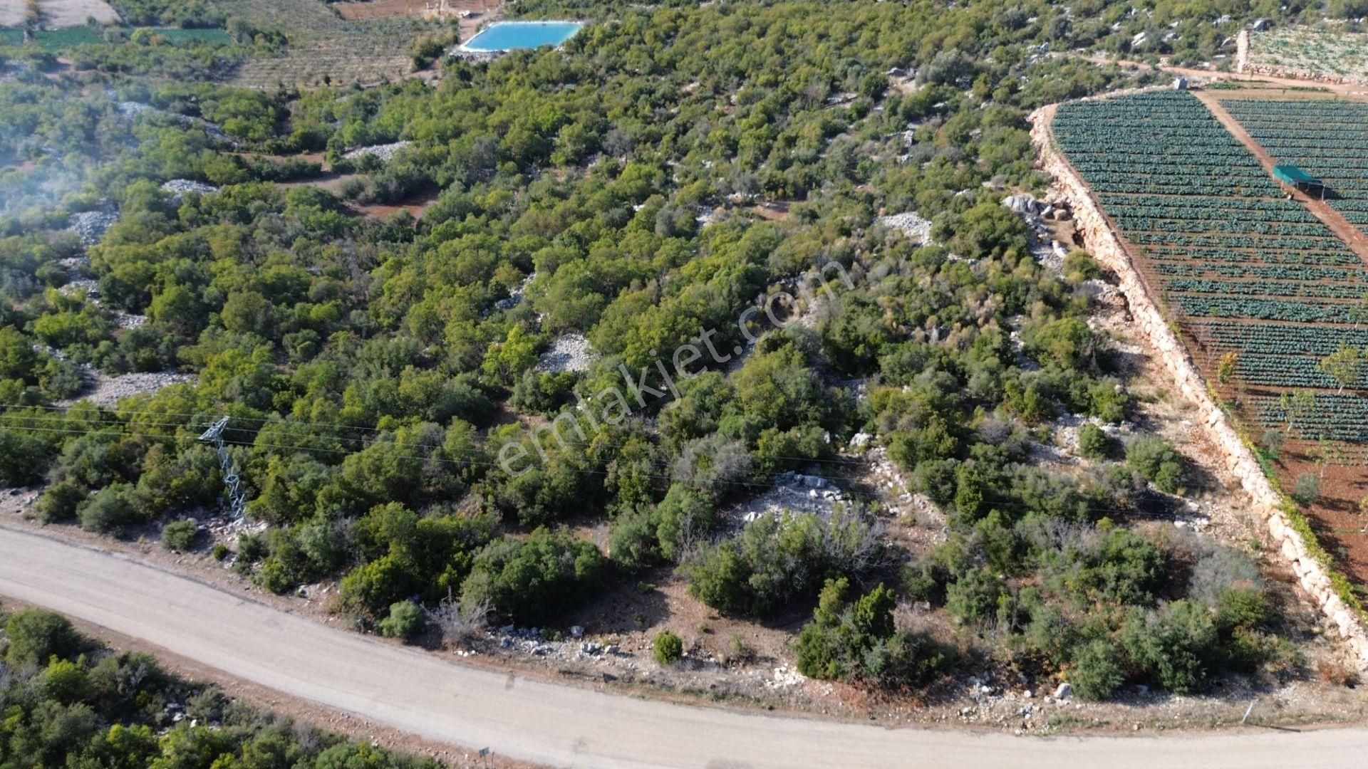 🌿 Satılık 9.500 M² Denize Yakın Doğa İle İç İçe Yatırımlık Arazi - Görsel 6
