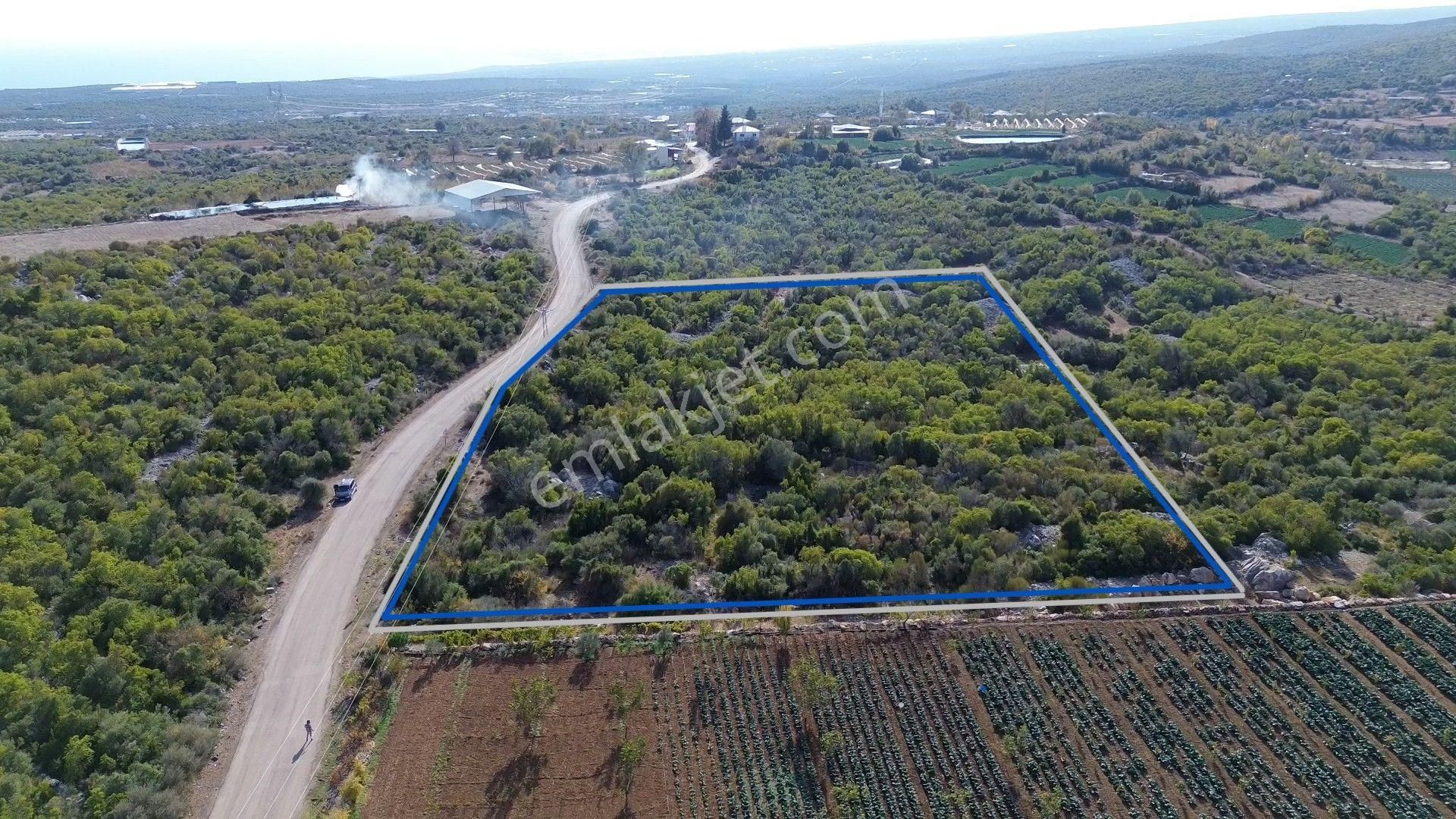 🌿 Satılık 9.500 M² Denize Yakın Doğa İle İç İçe Yatırımlık Arazi