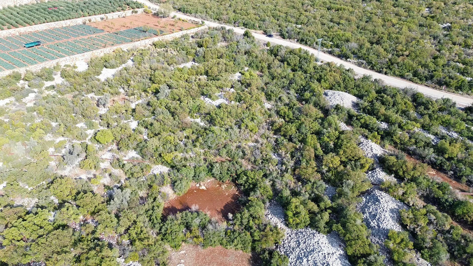 🌿 Satılık 9.500 M² Denize Yakın Doğa İle İç İçe Yatırımlık Arazi - Görsel 2