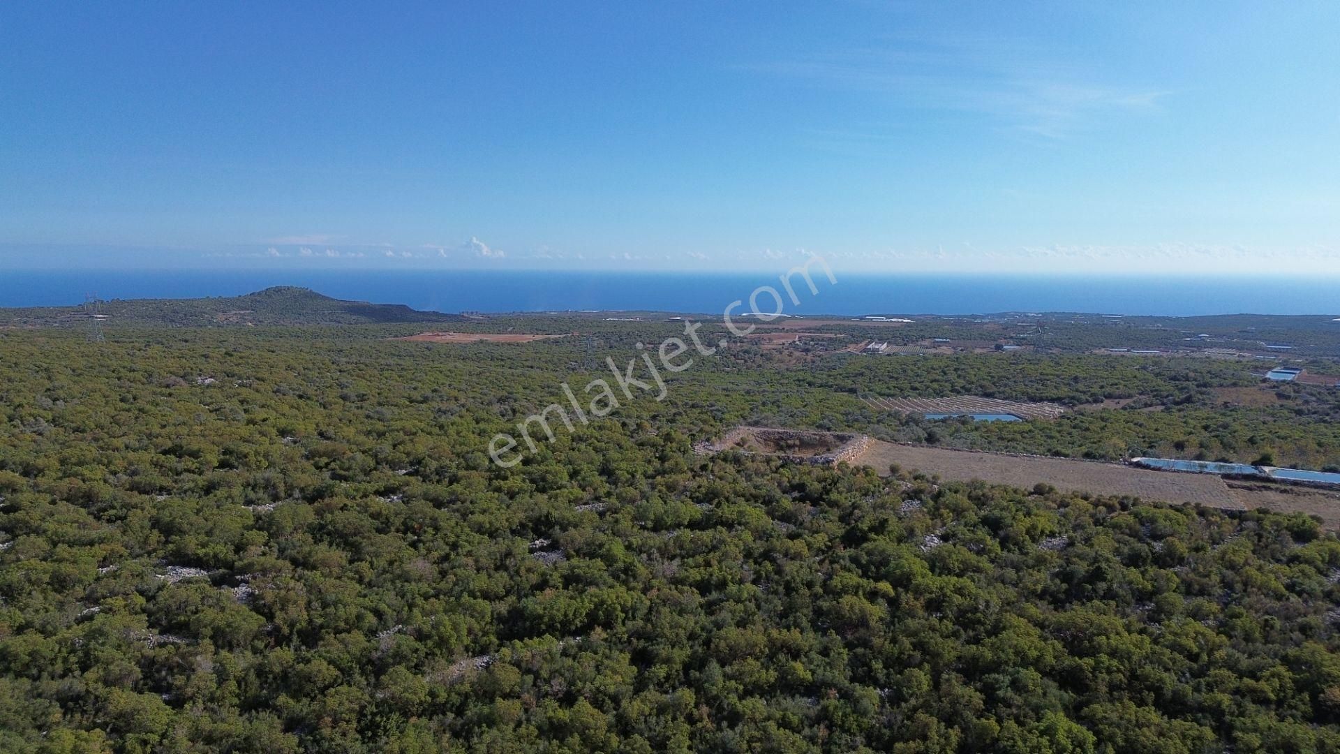 🌿 Satılık 9.500 M² Denize Yakın Doğa İle İç İçe Yatırımlık Arazi - Görsel 11