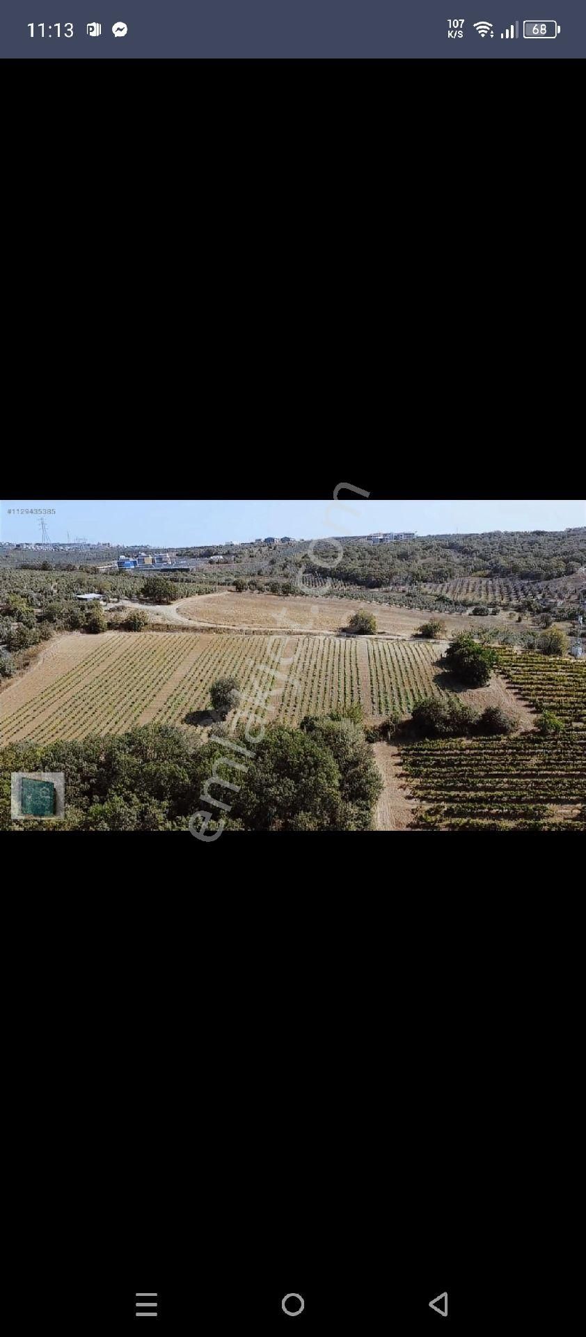 Bursa Mudanya Mürselde İmara Yakın Arazi - Görsel 4