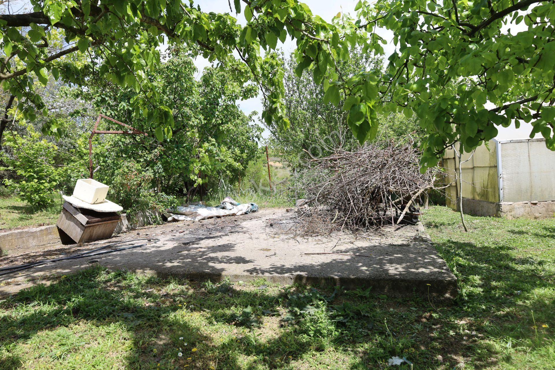 İşte Aradığınız Köy Evi (sera Kümes Bahçe Taş Fırın....) - Görsel 20