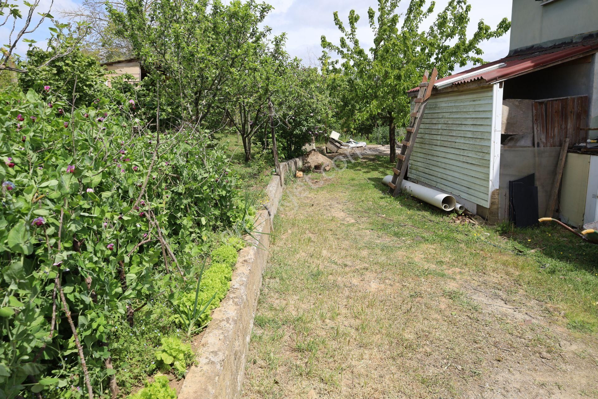 İşte Aradığınız Köy Evi (sera Kümes Bahçe Taş Fırın....) - Görsel 31