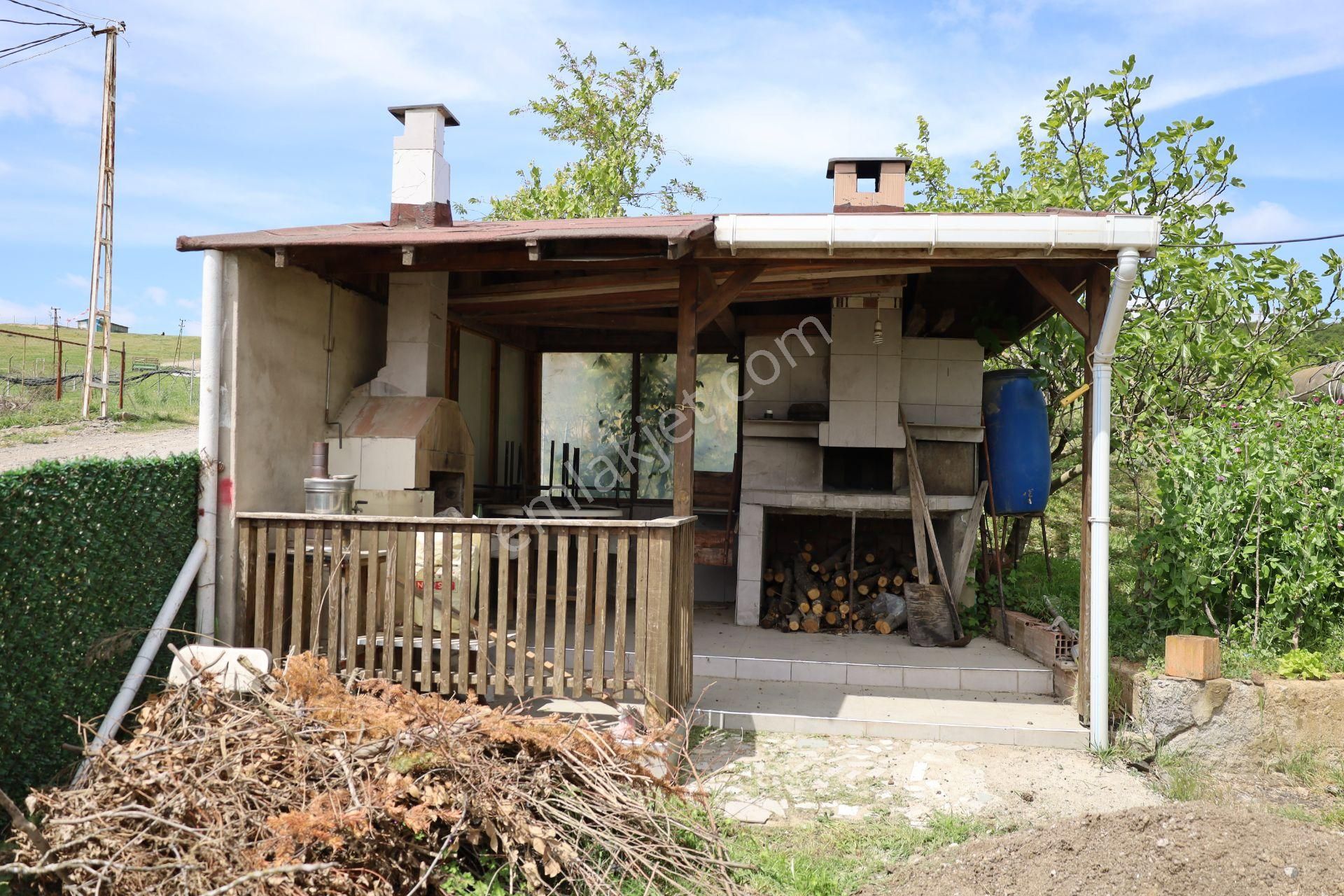 İşte Aradığınız Köy Evi (sera Kümes Bahçe Taş Fırın....) - Görsel 30