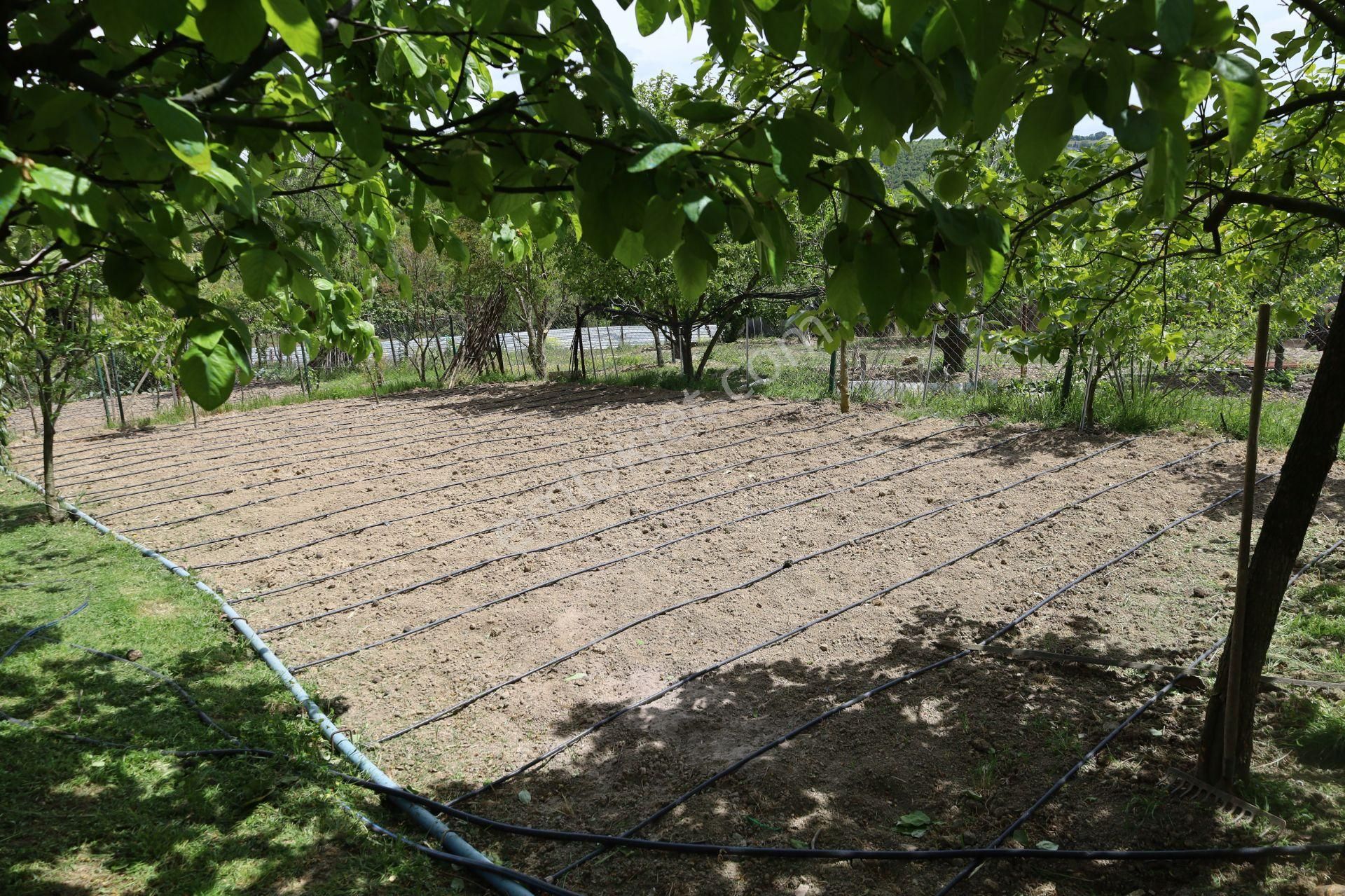 İşte Aradığınız Köy Evi (sera Kümes Bahçe Taş Fırın....) - Görsel 16