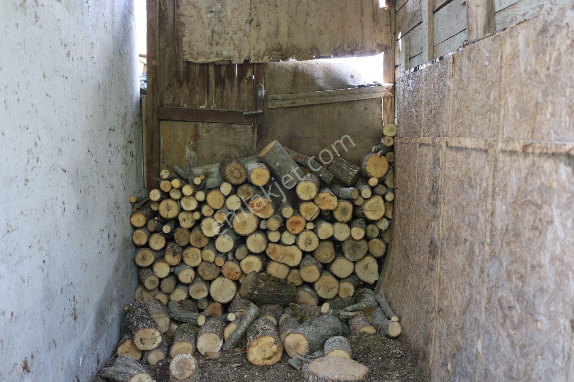 İşte Aradığınız Köy Evi (sera Kümes Bahçe Taş Fırın....) - Görsel 25