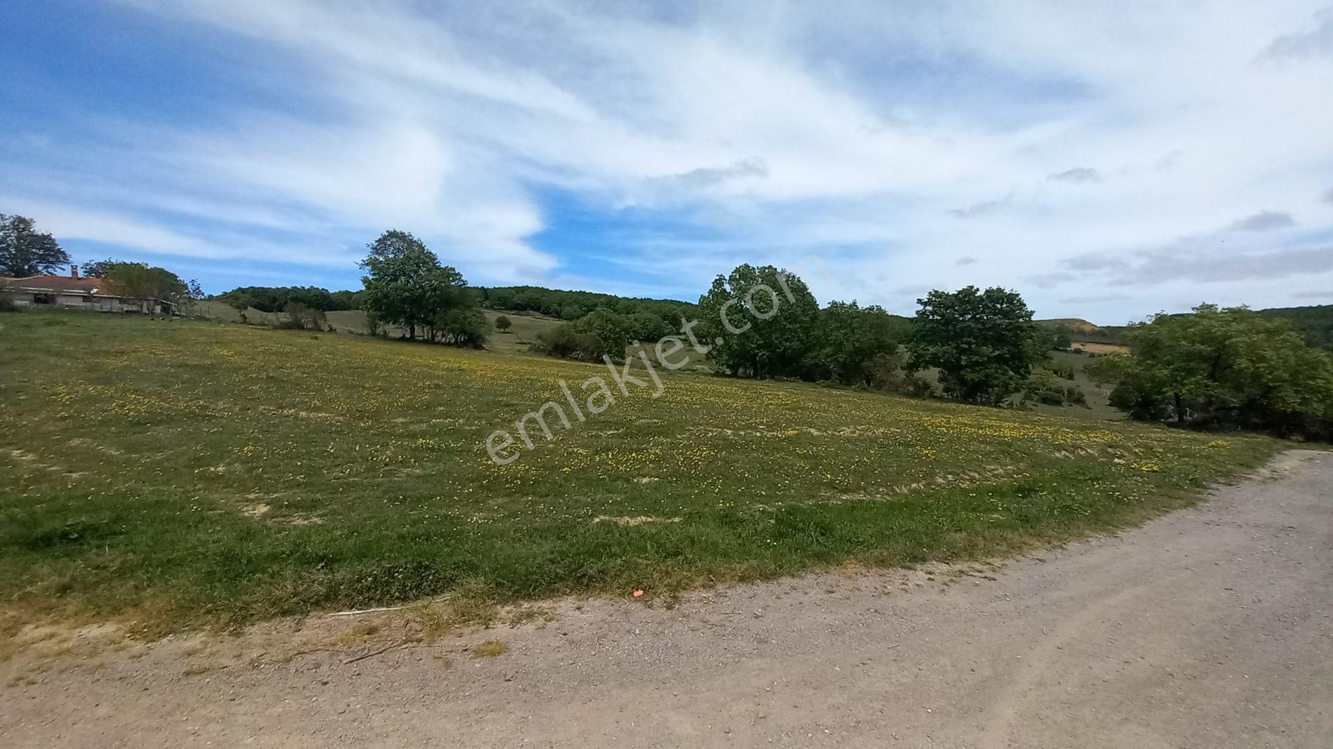 İşte Aradığınız Köy Evi (sera Kümes Bahçe Taş Fırın....) - Görsel 9