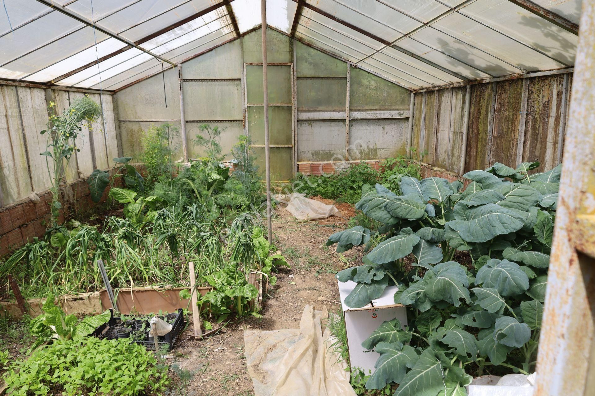 İşte Aradığınız Köy Evi (sera Kümes Bahçe Taş Fırın....) - Görsel 15