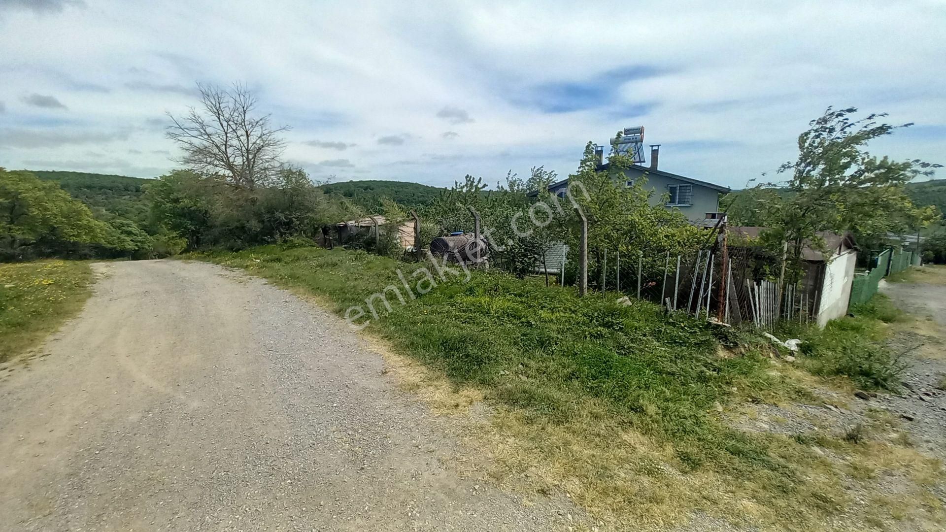 İşte Aradığınız Köy Evi (sera Kümes Bahçe Taş Fırın....) - Görsel 8