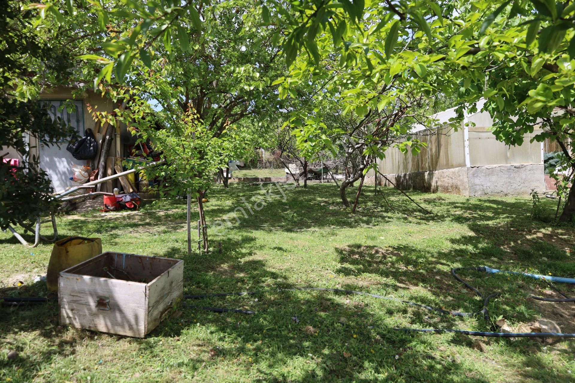 İşte Aradığınız Köy Evi (sera Kümes Bahçe Taş Fırın....) - Görsel 19