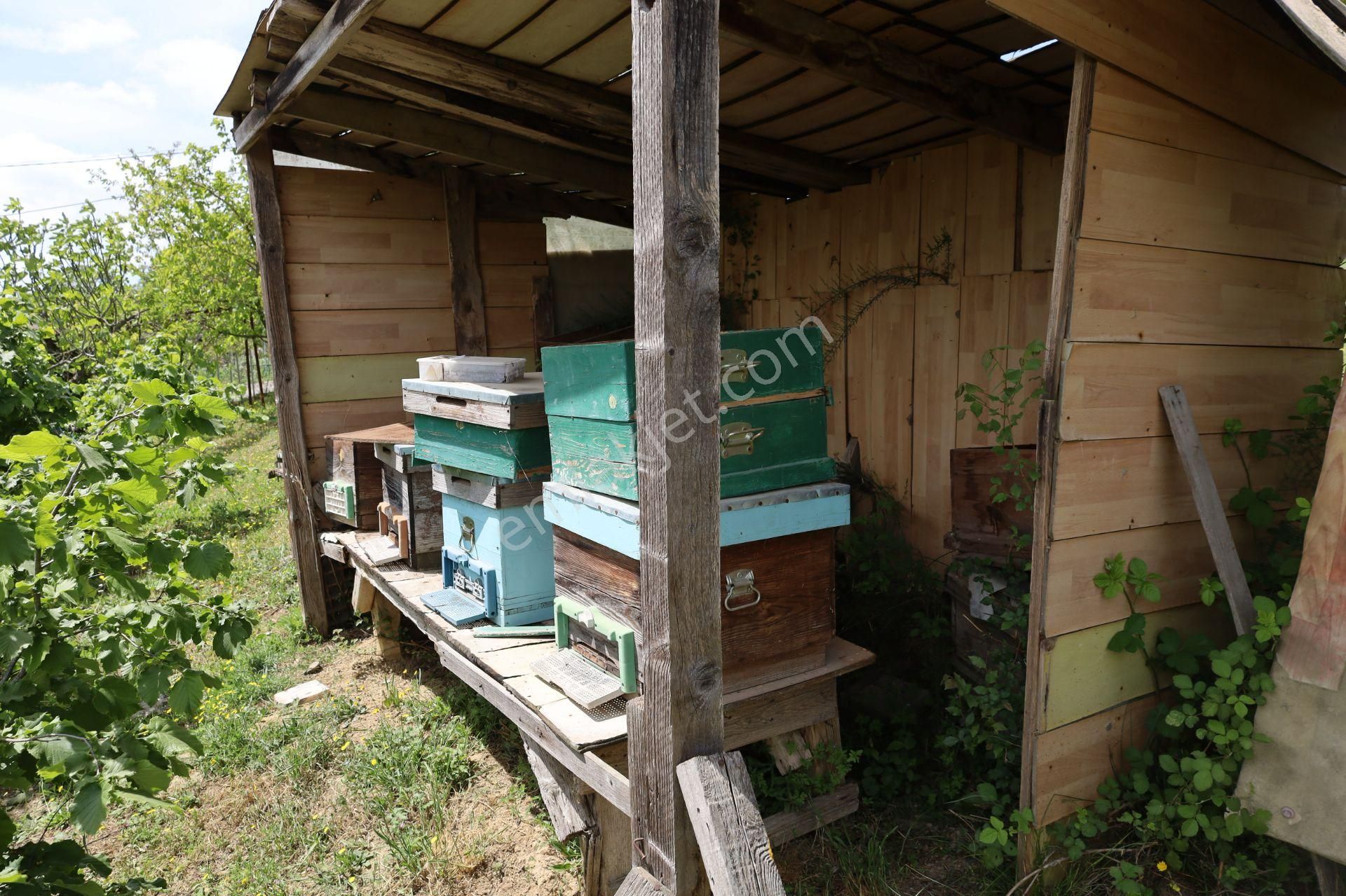 İşte Aradığınız Köy Evi (sera Kümes Bahçe Taş Fırın....) - Görsel 22