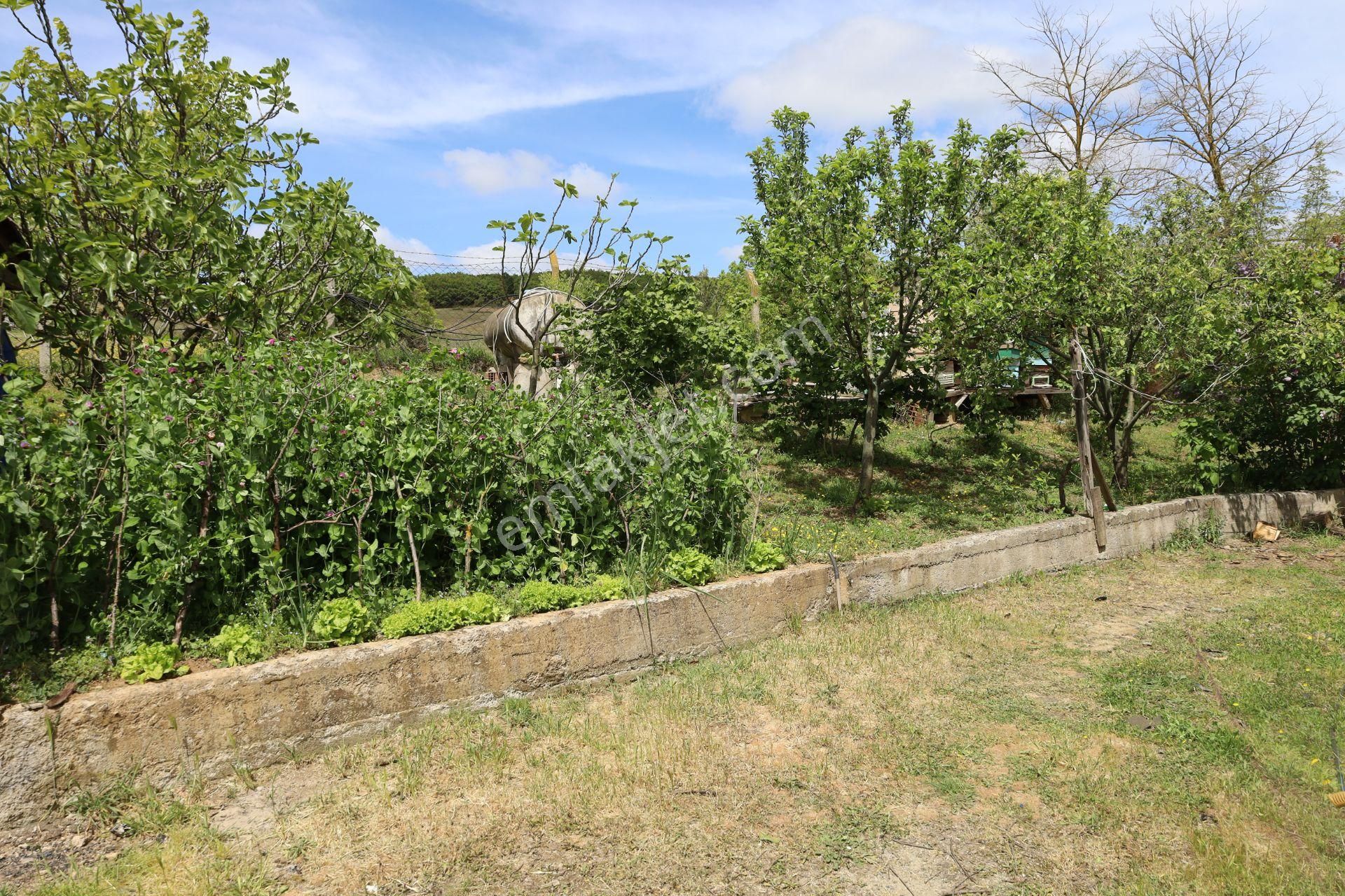 İşte Aradığınız Köy Evi (sera Kümes Bahçe Taş Fırın....) - Görsel 32