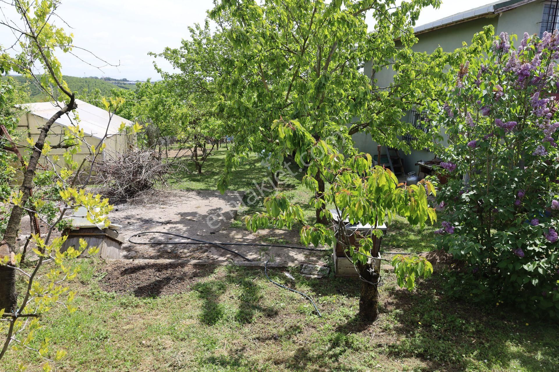 İşte Aradığınız Köy Evi (sera Kümes Bahçe Taş Fırın....) - Görsel 23